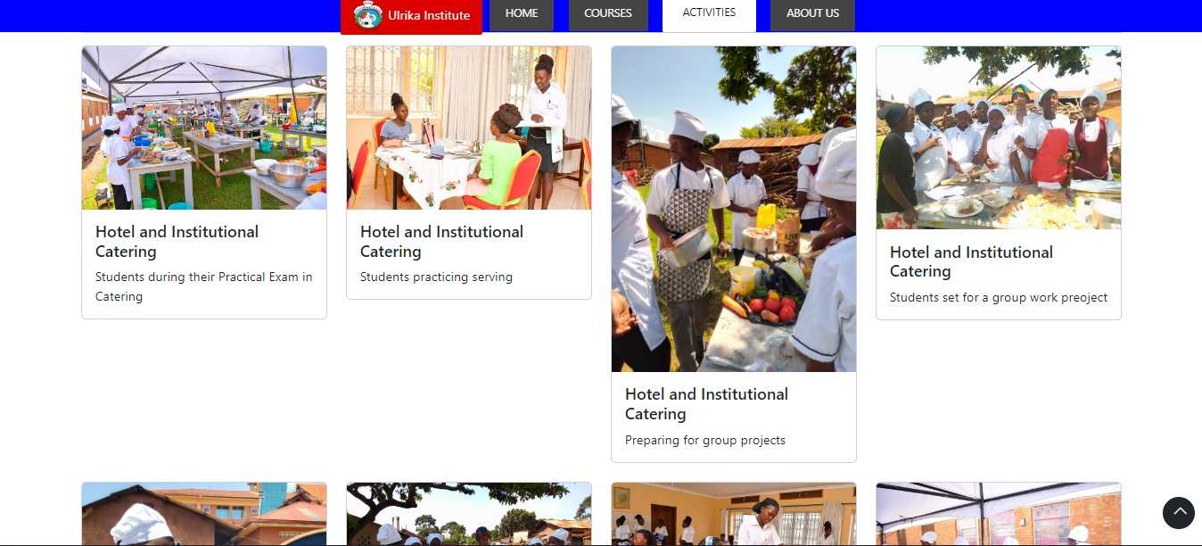 Ulrika Institute Website screenshot